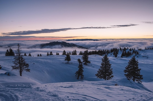 Zdjęcie niebieska godzina zimowa krajobraz na velika planina