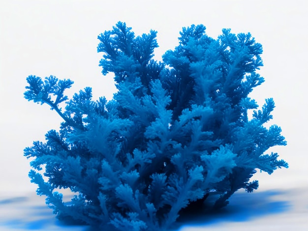 niebieski kolor oceanu wodorosty wysoko szczegółowy obraz hd