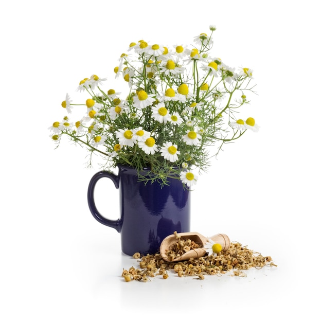 Niebieski Kubek świeżych Kwiatów Rumianku I łyżka Suszonych Pąków Na Białym Tle
