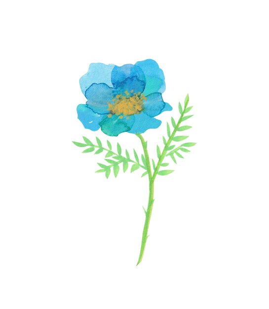 Niebieski kwiat akwarela