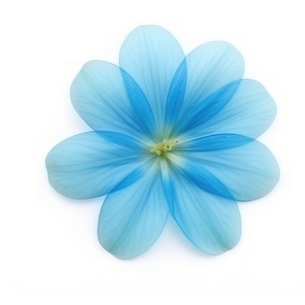 Niebieski kwiat z zielonym środkiem i żółtym środkiem.