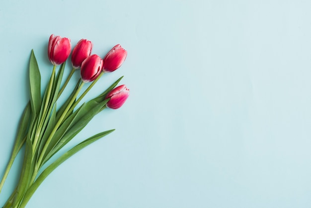 Zdjęcie niebieski powierzchnia z tulipanów na dzień matki