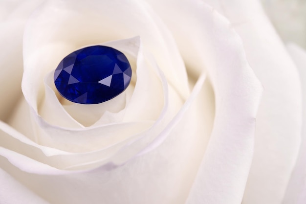 Niebieski szafirowy kamień szlachetny na płatkach białej róży