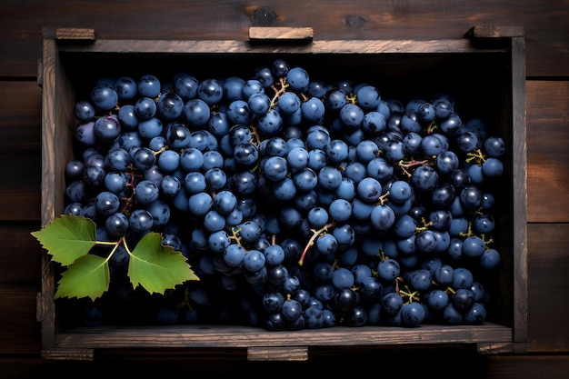 Niebieski winogronek w drewnianej skrzynce Świeży niebieski winnik