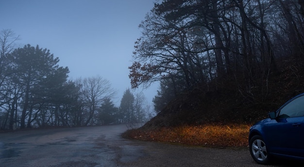 Niebieskie belki reflektorów samochodowych w gęstej mgle