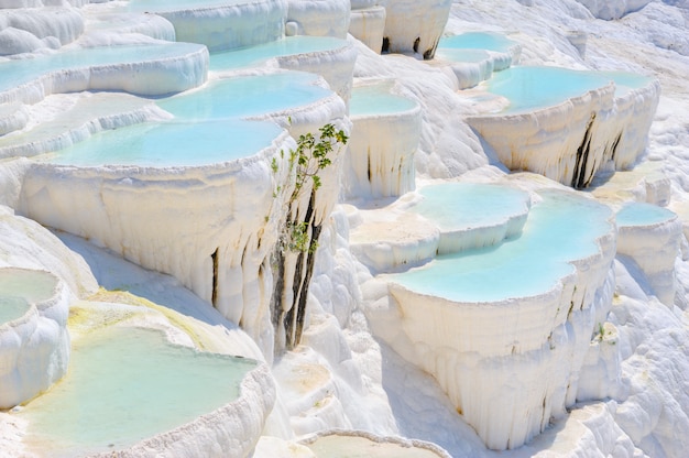 Niebieskie Cyjan Wody Baseny Trawertyn W Starożytnym Hierapolis, Obecnie Pamukkale, Turcja