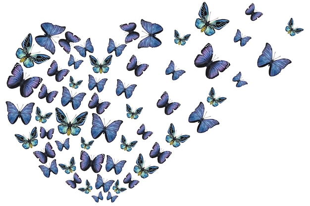 Niebieskie fioletowe motyle Kształt serca Handdrawn akwarela ilustracja na białym tle Może być używany do naklejek plakatowych kart