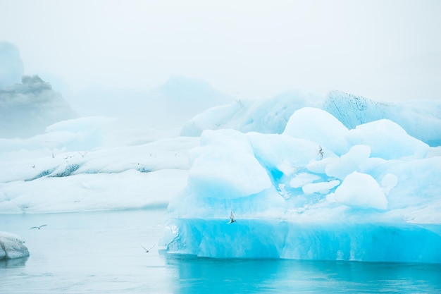 Niebieskie góry lodowe w lagunie lodowcowej Jokulsarlon, południowa Islandia