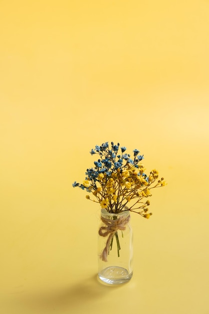 Niebieskie I żółte Kwiaty Gipsówki Na żółtym Tle Ukraińskie Symboliczne Kolory Pionowe Zdjęcie