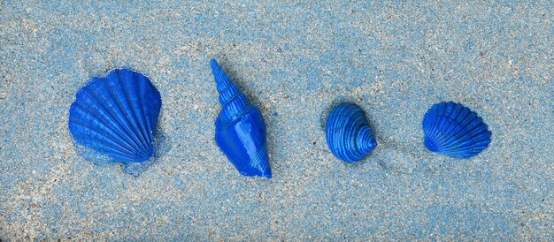 niebieskie muszle na niebieskim piasku