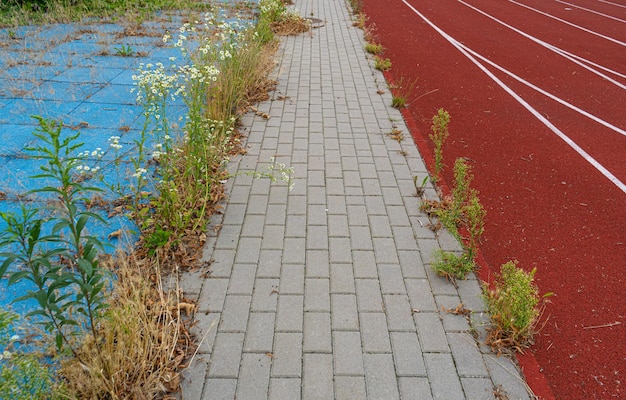 Niebieskie pokrycie stadionu Tekstura Bieżnia Teksturowane tło płytek Do biegania Wzór pola Czerwony stadion Gumowa bieżnia na okruszki