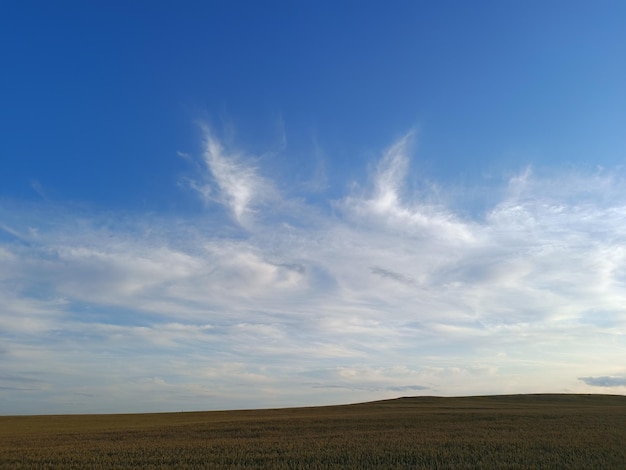 Niebo z chmurami, w których jest ptak.