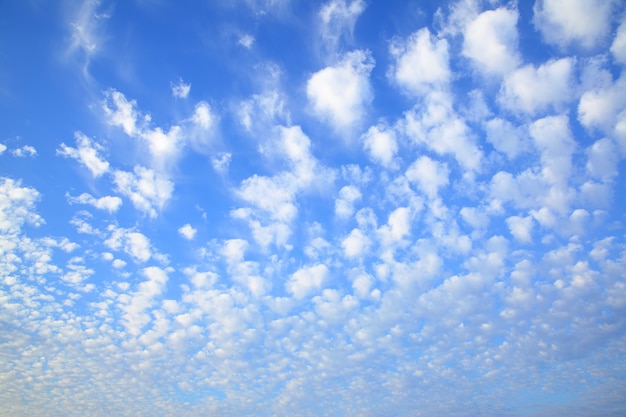 Niebo z mnóstwem małych chmurek - naturalne tło