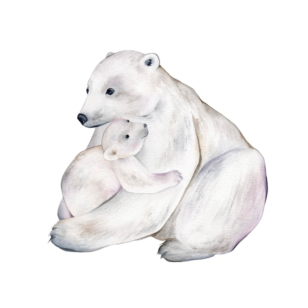 Niedźwiedź polarny Akwarela ilustracja na białym tle Szkic zwierząt Ładny dziki niedźwiedź obraz