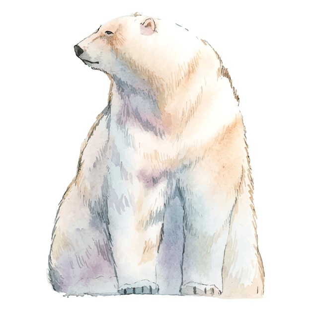 Niedźwiedź polarny png clipart ilustracja zwierzęcia na północnym biegunie na przezroczystym tle
