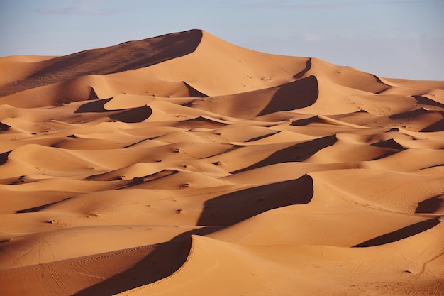 Niekończące się Piaski Sahary. Piękny zachód słońca nad wydmami pustyni Sahara Maroko Afryka