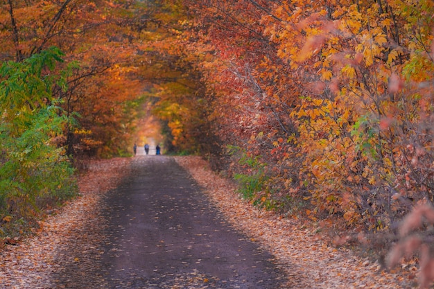 Nierozpoznawalna grupa ludzi idących naturalną ścieżką