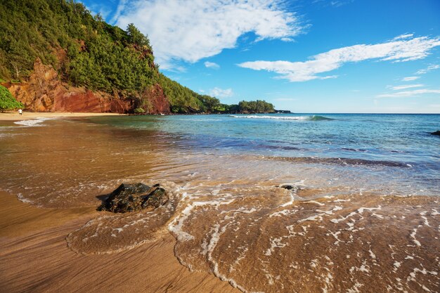 Zdjęcie niesamowita hawajska plaża