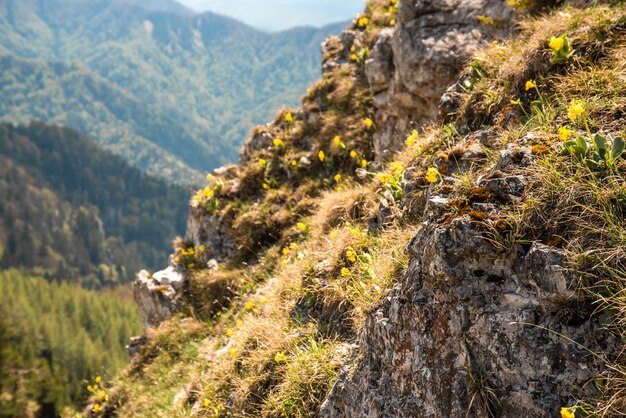 Niesamowita Słowacja trekking przyrodniczy w górach Wolny czas zdrowy styl życia