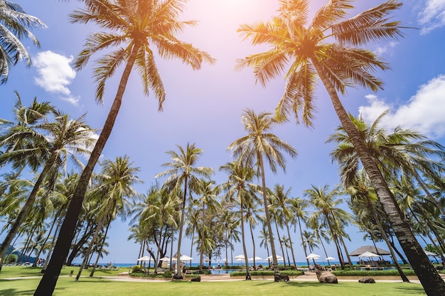 Niesamowita tropikalna rajska plaża z basenami i palmami kokosowymi