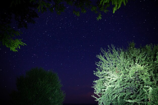 Zdjęcie niesamowite gwiaździste nocne niebo z drogą mleczną i spadającymi gwiazdami nad jeziorem i drzewami w górach piękne nocne niebo zapierający dech w piersiach krajobraz widok na niebo z namiotu obozowego w lesie