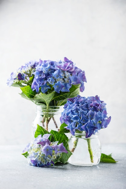 Niesamowite niebieskie kwiaty hortensji