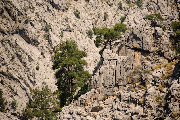 Niesamowity widok na wysoką starożytną skałę Lycian Way