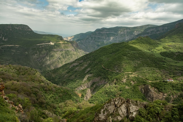 Niesamowity widok na zielony las w górach