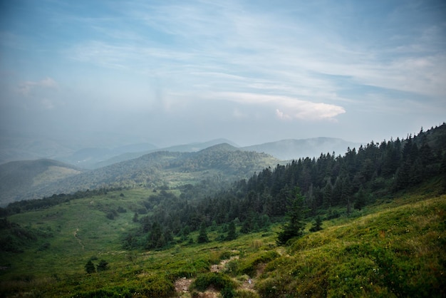 Niesamowity widok potężnych gór pod chmurnym niebem Zielone rośliny rosnące wokół Piękna natura na świeżym powietrzu Koncepcja podróży