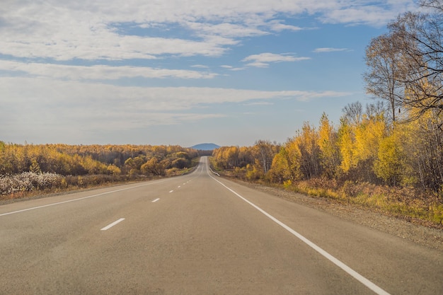 Niesamowity widok z kolorowym jesiennym lasem z asfaltową górską drogą. Piękny krajobraz z pustą drogą, drzewami i słońcem jesienią. Tło podróży. Natura.