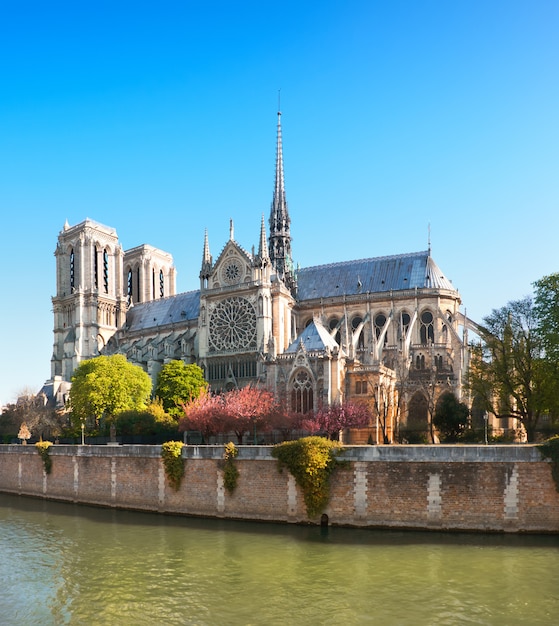 Nieuszkodzona wschodnia fasada katedry Notre Dame de Paris na wiosnę przed pożarem, obraz panoramiczny