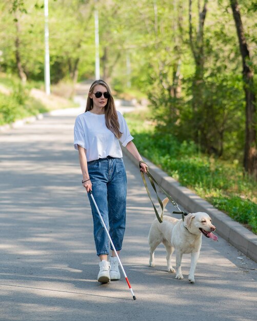 Niewidoma kobieta spaceru z psem przewodnikiem w parku