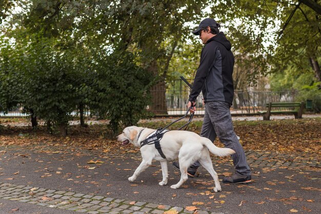 Niewidomy człowiek idący z pomocą psa przewodnika przez park jesienny