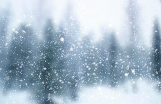Zdjęcie niewyraźne zimowe tło padający śnieg na tle nieostrego lasu