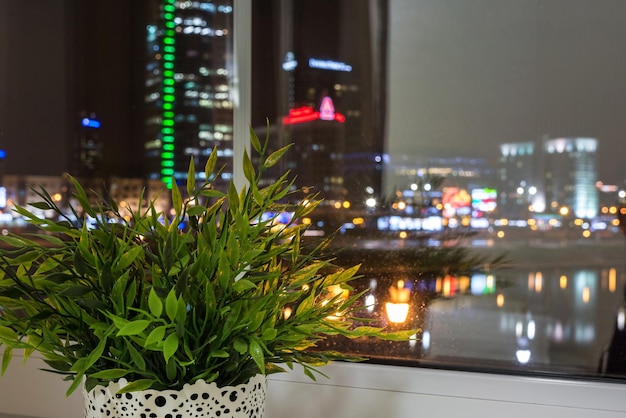 Niewyraźny widok nocnego miasta przez okno mieszkania z kwiatkiem na parapecie