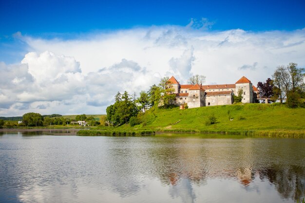 Niezrównany widok na jasną letnią przyrodę i starożytny zamek na wzgórzu nad rzeką