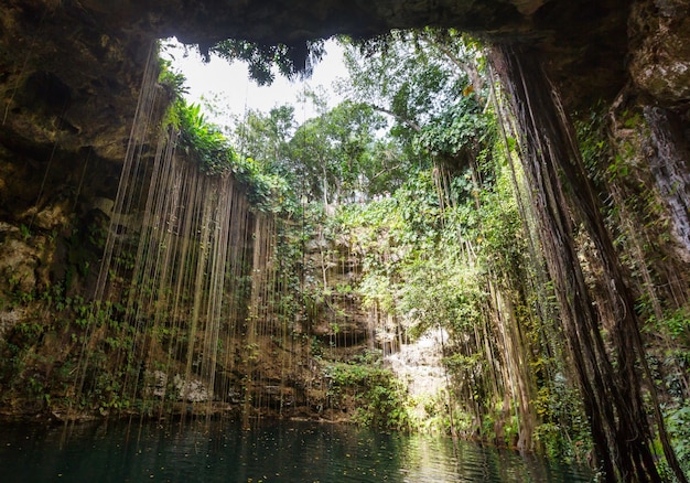 Niezwykłe Naturalne Krajobrazy - Ik-kil Cenote, Meksyk