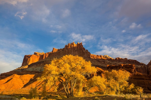 Niezwykłe naturalne krajobrazy w sezonie jesiennym w Parku Narodowym Capitol Reef w stanie Utah