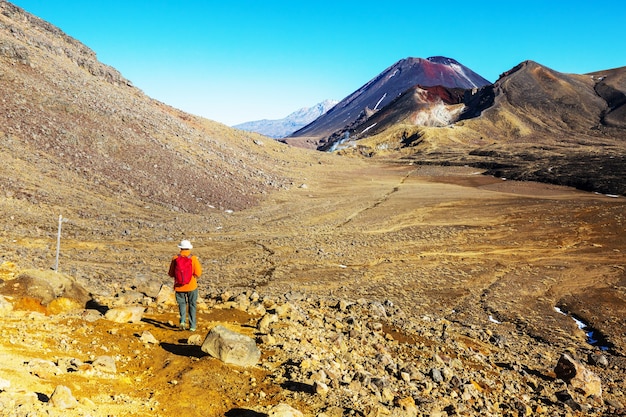 Niezwykłe Wulkaniczne Krajobrazy Na Torze Tongariro Crossing, Park Narodowy Tongariro, Nowa Zelandia. Koncepcja Wanderlust