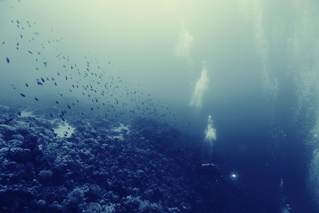 niezwykłe zdjęcie nurka pod wodą w tle