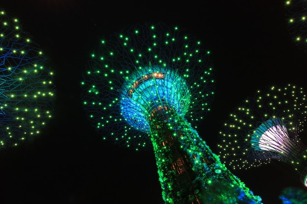 Night Show Supertrees Gardens By The Bay Park Przyrody