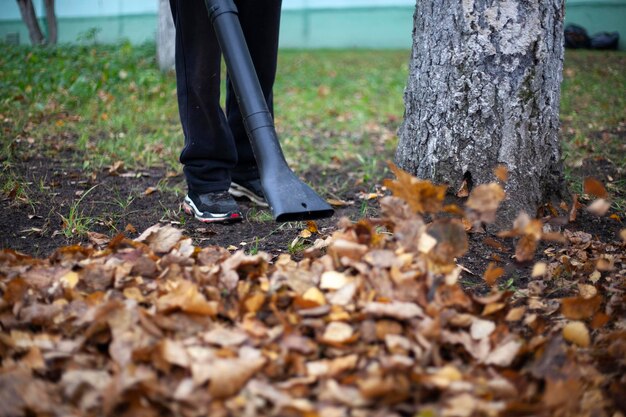 Zdjęcie niska część osoby stojącej na pniu drzewa