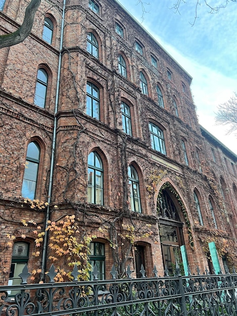 Niski kąt widoku budynku