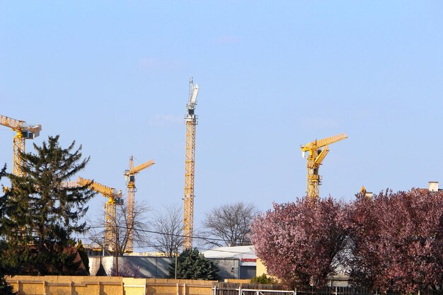 Zdjęcie niski kąt widoku drzew i budynków na jasnym niebieskim niebie