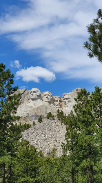 Zdjęcie niski kąt widoku drzew na chmurnym niebie mount rushmore