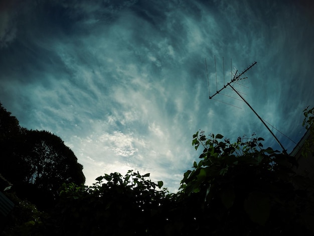 Zdjęcie niski kąt widoku drzew na chmurnym niebie