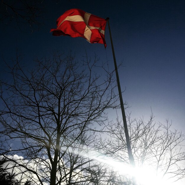 Zdjęcie niski kąt widoku duńskiej flagi przez gołe drzewa na tle nieba