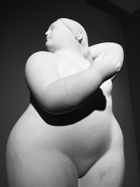 Niski Kąt Widoku Figurki Na ścianie W Muzeum Botero