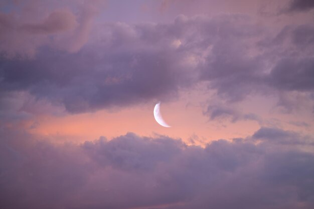 Zdjęcie niski kąt widoku księżyca na niebie przy wschodzie słońca