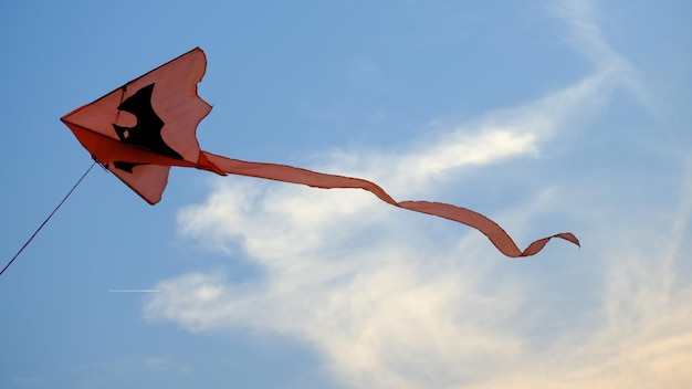 Zdjęcie niski kąt widoku latającego latawca przeciwko niebu